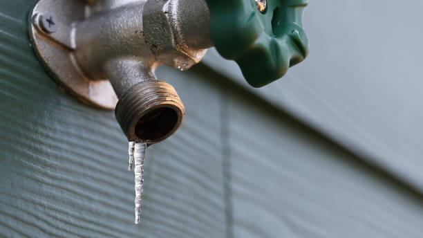 Trusted Ionia, MI Plumbing Experts