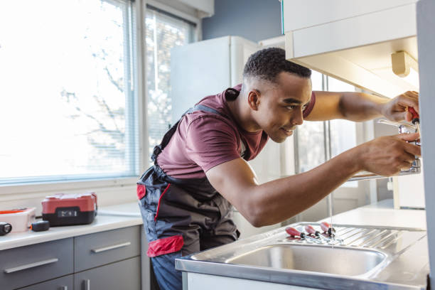 Best Clogged Drain Plumber  in Ionia, MI